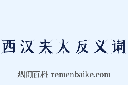 西汉夫人反义词是什么意思的图片